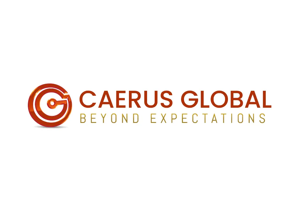 Our Portfolio
