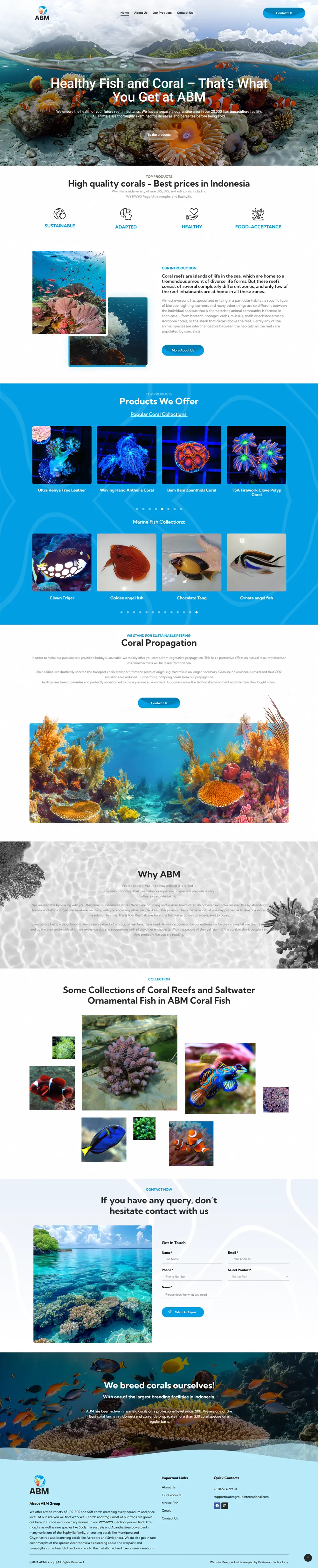Our Portfolio