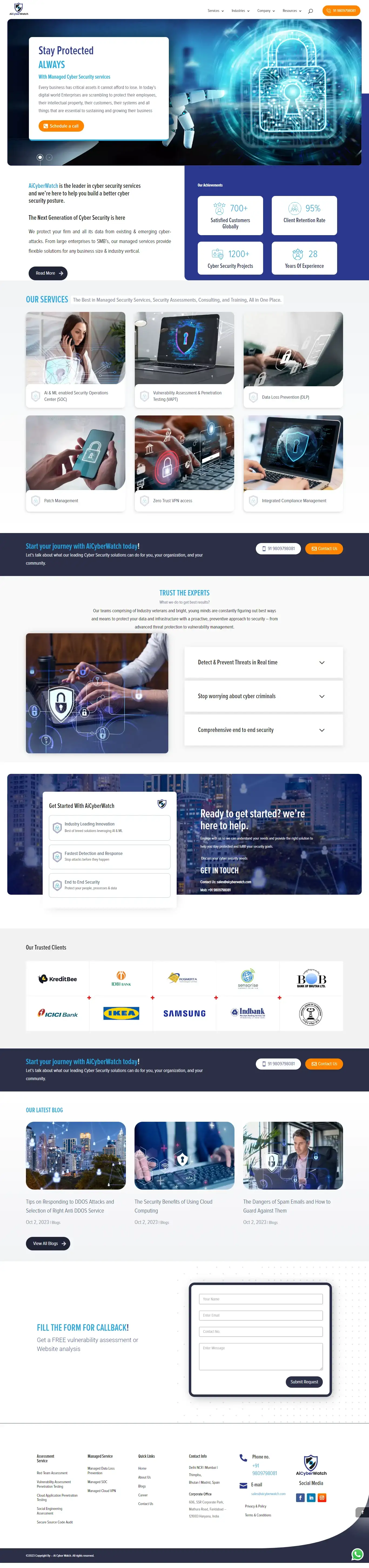 Our Portfolio