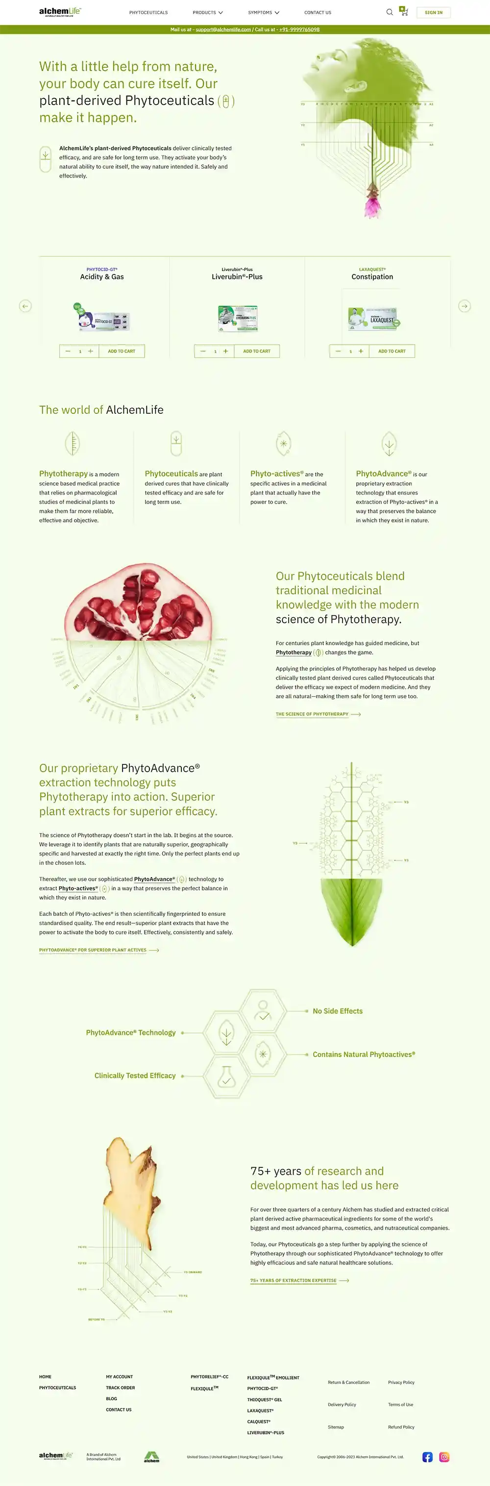 Our Portfolio
