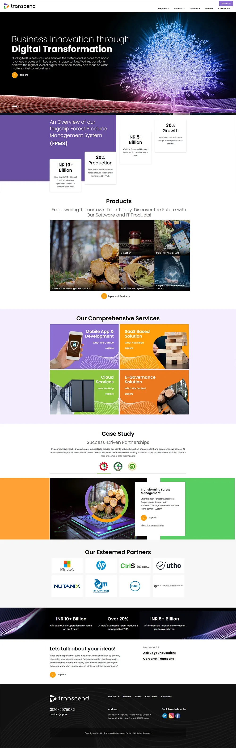 Our Portfolio