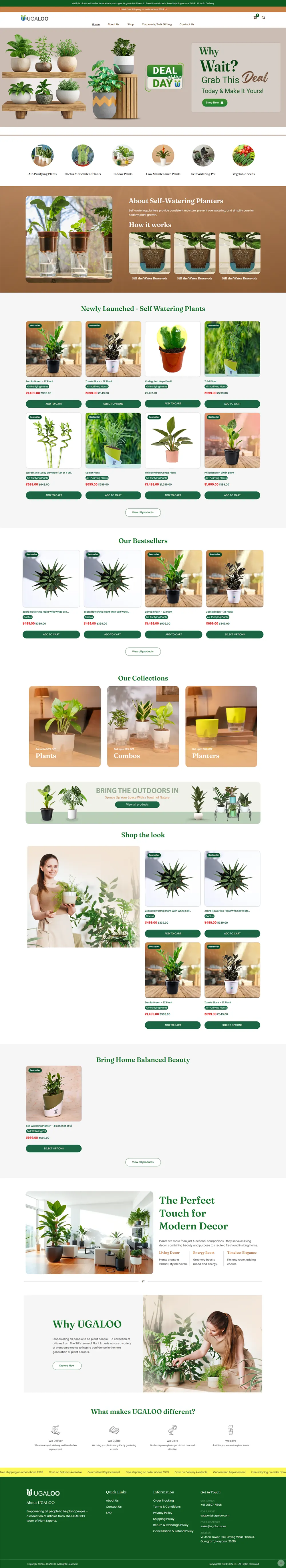 Our Portfolio