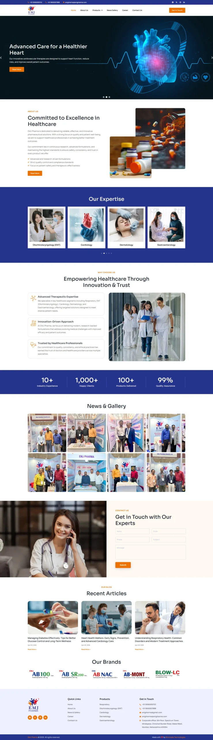 Our Portfolio