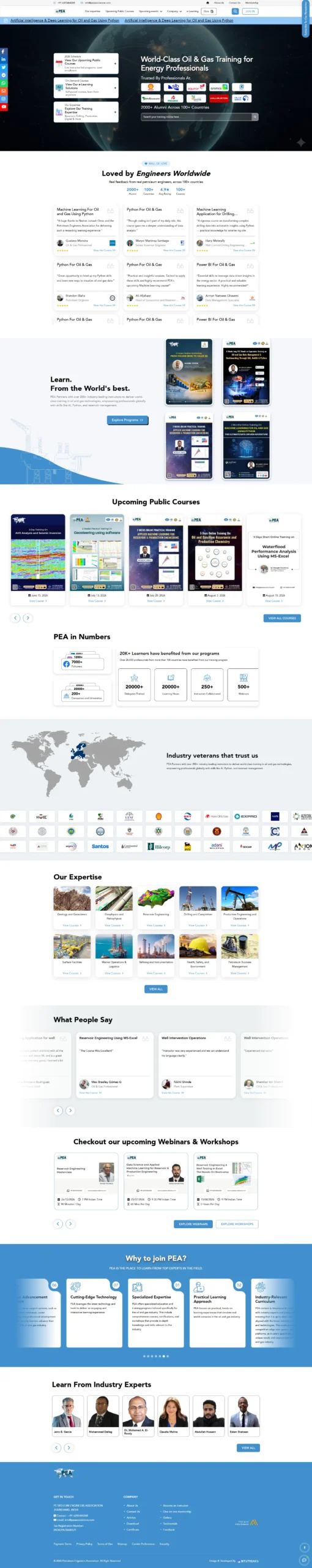 Our Portfolio